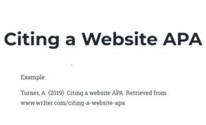 apa format for citing websites
