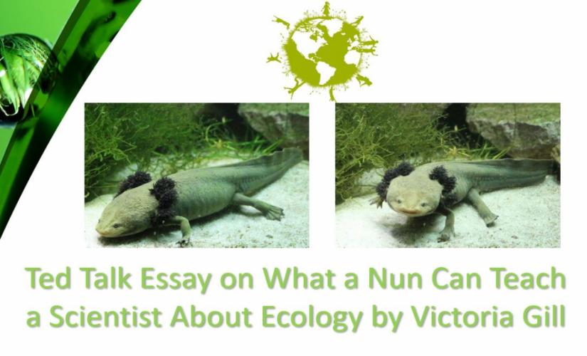What a Nun Can Teach a Scientist About Ecology by Victoria Gill