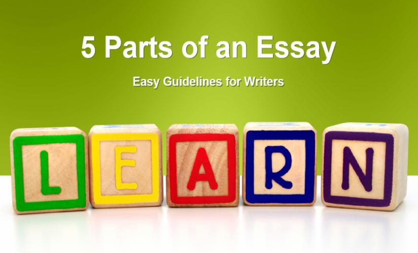 explanatory essays examples