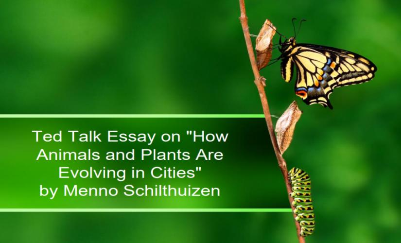 Ted Talk essay on "How Animals and Plants Are Evolving in Cities" by Menno Schilthuizen