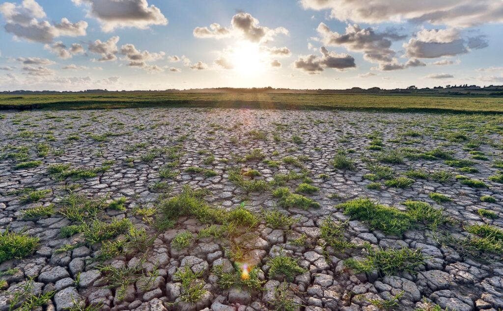 Causes and Effects of Climate Change on Global Food Production