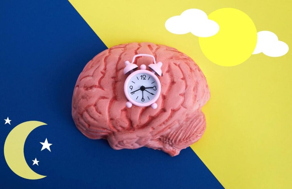 Exploring the Biological Clock: Impact on Human Behavior and Health