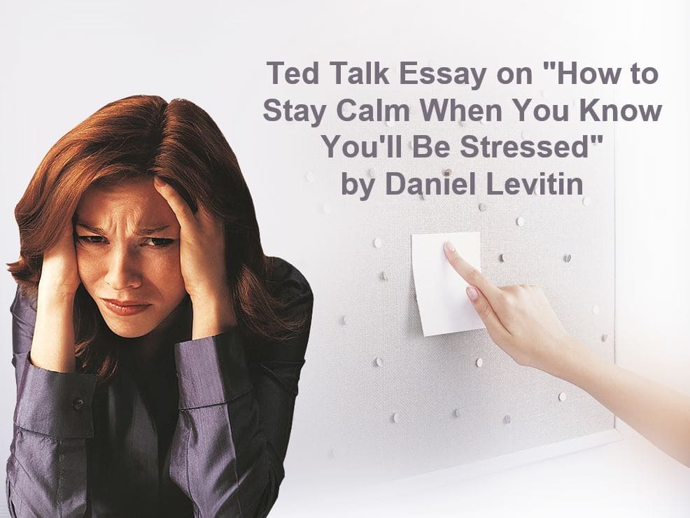 Ted Talk essay on "How to Stay Calm When You Know You'll Be Stressed" by Daniel Levitin